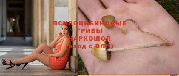 дурь Инта