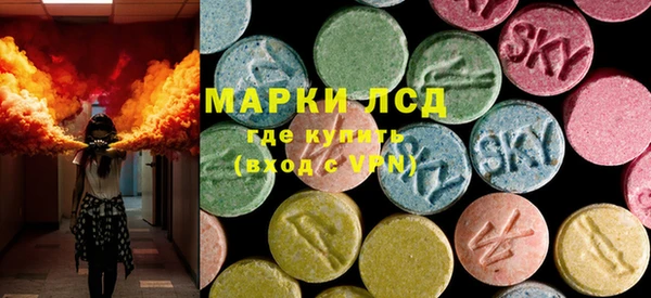 спиды Каменногорск