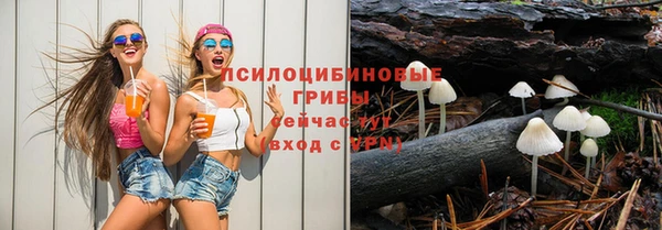 дурь Инта