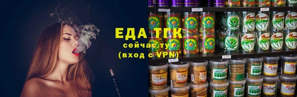 спиды Каменногорск