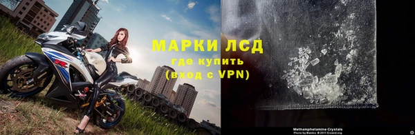 спиды Каменногорск